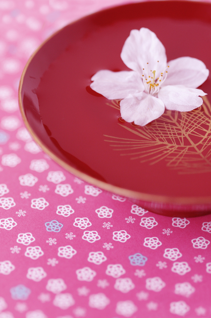 春到来でございます 春到来でございます